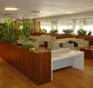 Sala Vip Formentor