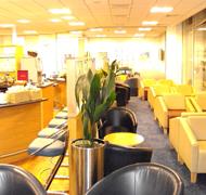Servisair Lingfield Lounge (South Terminal)