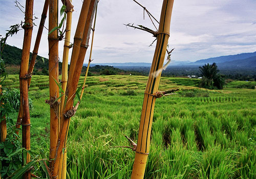 Indonesia