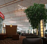 Air China Business Class Lounge	(Terminal 2 International)